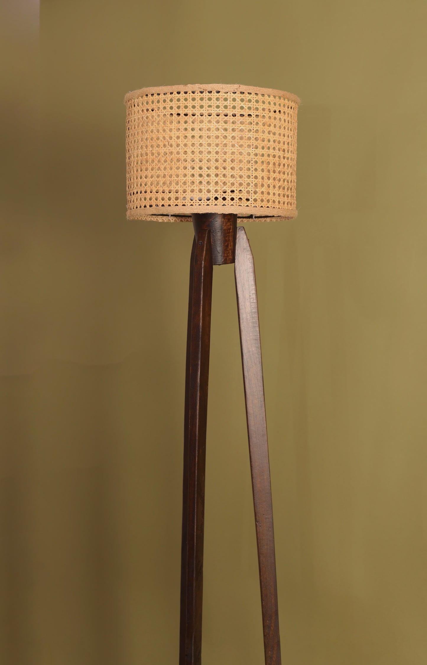 TRIPOD CANE FLOOR LAMP