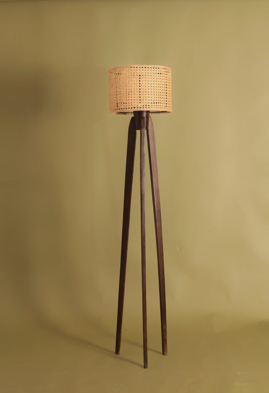 TRIPOD CANE FLOOR  LAMP
