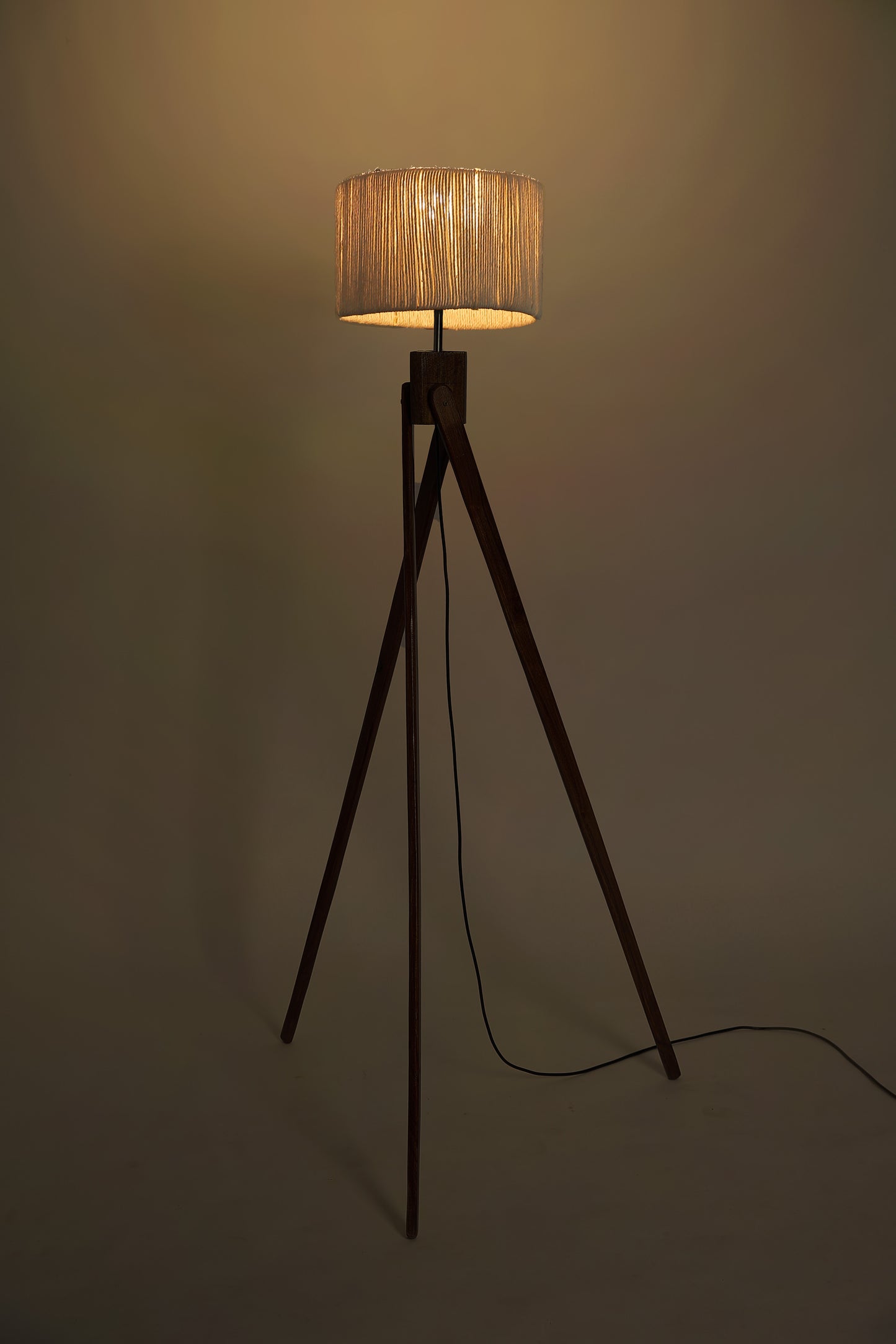 Modern & Minimalist Casa Floor Lamp